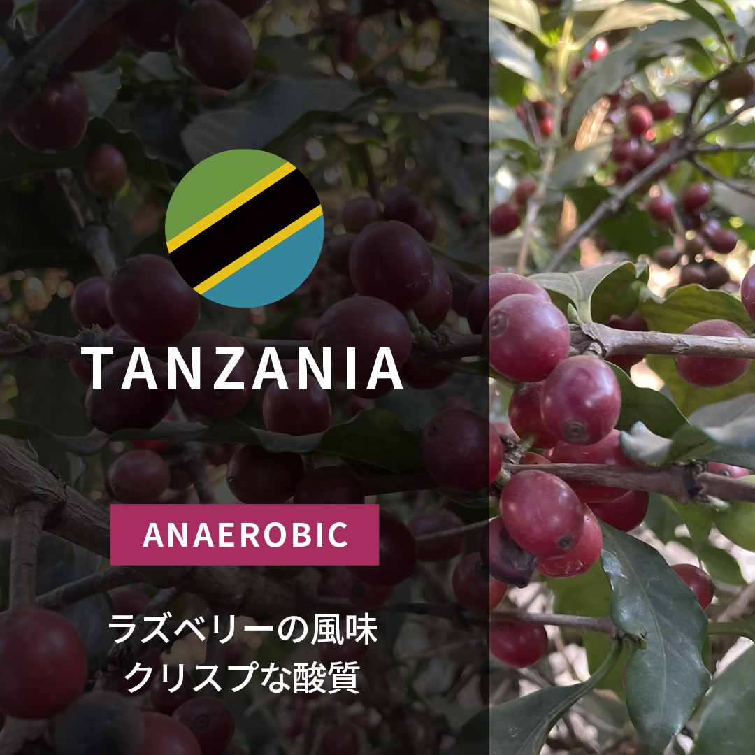 タンザニア | ORIGIN COUNTRIES for Small Batch Coffee（Small Batch
